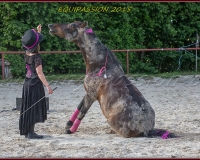 2-13JUIN 0132